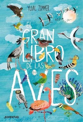 GRAN LIBRO DE LAS AVES, EL | 9788426145833 | ZOMMER, YUVAL | Llibreria Drac - Llibreria d'Olot | Comprar llibres en català i castellà online