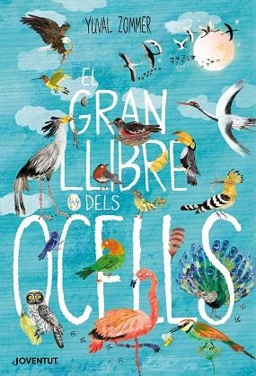 GRAN LLIBRE DELS OCELLS, EL | 9788426145840 | ZOMMER, YUVAL | Llibreria Drac - Llibreria d'Olot | Comprar llibres en català i castellà online