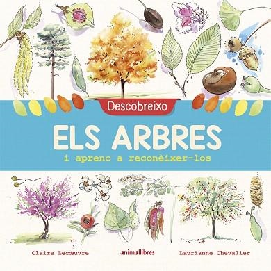 DESCOBREIXO ELS ARBRES I APRENC A RECONÈIXER-LOS (LA BIBLIOTECA DELS RATOLINS) | 9788417599195 | LECOEUVRE, CLAIRE | Llibreria Drac - Llibreria d'Olot | Comprar llibres en català i castellà online