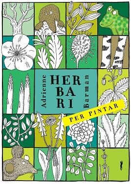 HERBARI PER PINTAR | 9788494990427 | BARMAN, ADRIANNE | Llibreria Drac - Llibreria d'Olot | Comprar llibres en català i castellà online