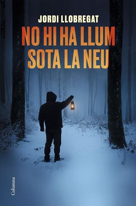 NO HI HA LLUM SOTA LA NEU | 9788466425582 | LLOBREGAT, JORDI | Llibreria Drac - Llibreria d'Olot | Comprar llibres en català i castellà online