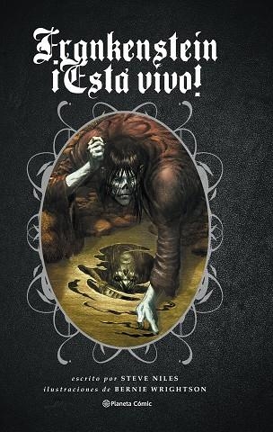 FRANKENSTEIN ¡ESTÁ VIVO! | 9788416543908 | WRIGHTSON, BERNIE | Llibreria Drac - Llibreria d'Olot | Comprar llibres en català i castellà online