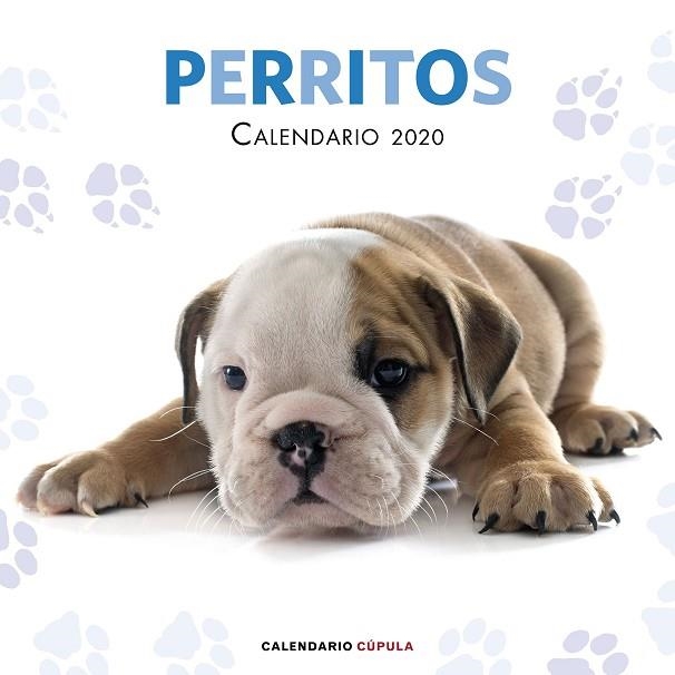 CALENDARIO PERRITOS 2020 | 9788448026158 | AA. VV. | Llibreria Drac - Librería de Olot | Comprar libros en catalán y castellano online