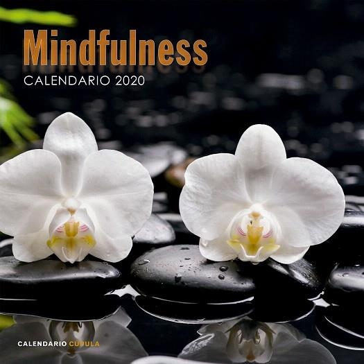 CALENDARIO MINDFULNESS 2020 | 9788448026110 | AA.DD. | Llibreria Drac - Llibreria d'Olot | Comprar llibres en català i castellà online