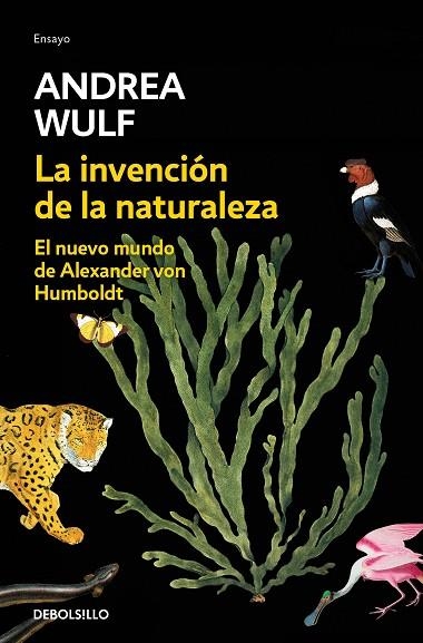 INVENCIÓN DE LA NATURALEZA, LA | 9788466346108 | WULF, ANDREA | Llibreria Drac - Llibreria d'Olot | Comprar llibres en català i castellà online