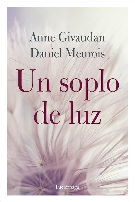 SOPLO DE LUZ, UN | 9788412050608 | GIVAUDAN, ANNE; MEUROIS, DANIEL | Llibreria Drac - Llibreria d'Olot | Comprar llibres en català i castellà online