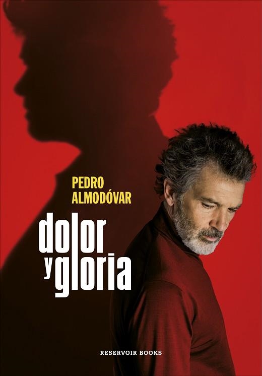 DOLOR Y GLORIA | 9788417910303 | ALMODÓVAR, PEDRO | Llibreria Drac - Llibreria d'Olot | Comprar llibres en català i castellà online