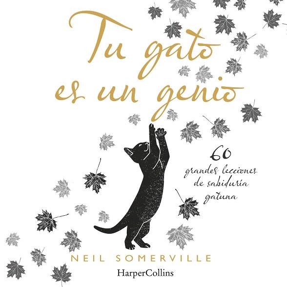 TU GATO ES UN GENIO. 60 GRANDES LECCIONES DE SABIDURÍA GATUNA | 9788491394211 | SOMERVILLE, NEIL | Llibreria Drac - Llibreria d'Olot | Comprar llibres en català i castellà online