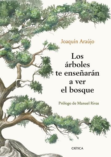 ÁRBOLES TE ENSEÑARÁN A VER EL BOSQUE, LOS | 9788491992080 | ARAÚJO, JOAQUÍN | Llibreria Drac - Llibreria d'Olot | Comprar llibres en català i castellà online