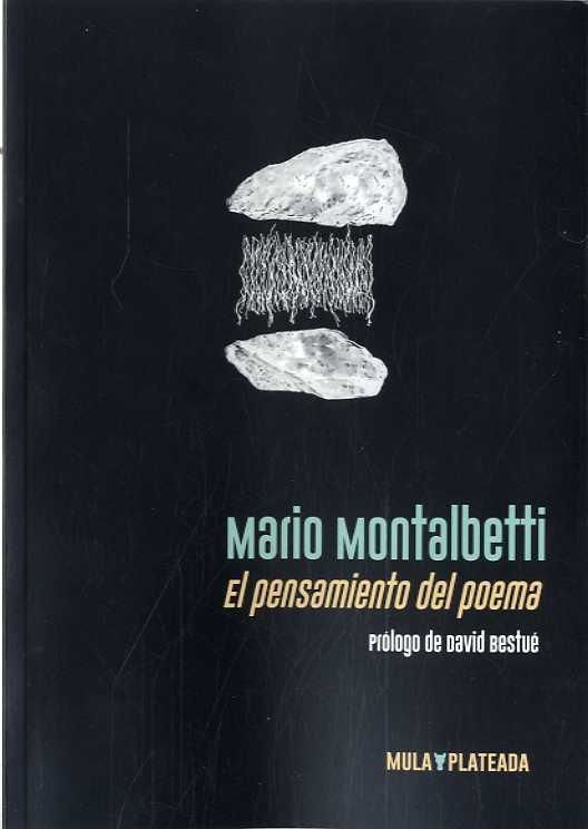 PENSAMIENTO DEL POEMA, EL | 9788412138016 | MONTALBETTI, MARIO | Llibreria Drac - Llibreria d'Olot | Comprar llibres en català i castellà online