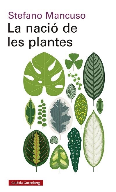 NACIÓ DE LES PLANTES, LA | 9788417971564 | MANCUSO, STEFANO | Llibreria Drac - Llibreria d'Olot | Comprar llibres en català i castellà online