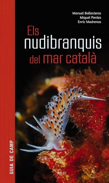 NUDIBRANQUIS DEL MAR CATALA, ELS | 9788415885924 | BALLESTEROS VÁZQUEZ, MANUEL/PONTES, MIQUEL/MADRENAS, ENRIC | Llibreria Drac - Llibreria d'Olot | Comprar llibres en català i castellà online