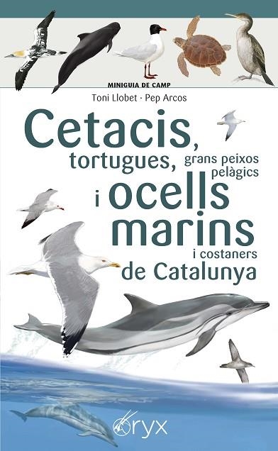 CETACIS, TORTUGUES, GRANS PEIXOS PELÀGICS I OCELLS MARINS DE CATALUNYA | 9788490349441 | LLOBET, TONI; ARCOS, PEP | Llibreria Drac - Llibreria d'Olot | Comprar llibres en català i castellà online