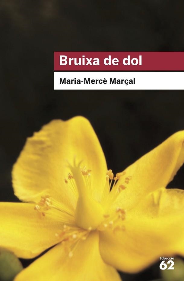 BRUIXA DE DOL (1977-1979) | 9788415954736 | MARÇAL, M. MERCÈ | Llibreria Drac - Librería de Olot | Comprar libros en catalán y castellano online