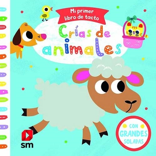 CRIAS DE ANIMALES (MI PRIMER LIBRO DE TACTO) | 9788413183930 | AMERICO, TIAGO | Llibreria Drac - Llibreria d'Olot | Comprar llibres en català i castellà online