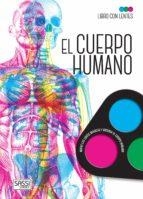 CUERPO HUMANO, EL (LIBRO CON LENTES) | 9788418127977 | FACCI,V.; BORGO, A. | Llibreria Drac - Llibreria d'Olot | Comprar llibres en català i castellà online