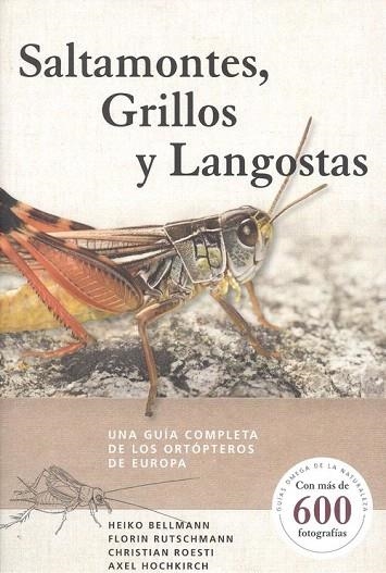 SALTAMONTES, GRILLOS Y LANGOSTAS | 9788428217279 | BELLMANN, HEIKO | Llibreria Drac - Librería de Olot | Comprar libros en catalán y castellano online