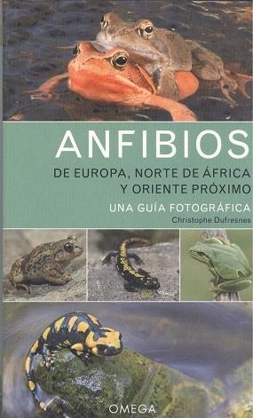 ANFIBIOS DE EUROPA, NORTE DE AFRICA Y ORIENTE PROXIMO | 9788428217330 | DUFRESNES, CHRISTOPHE | Llibreria Drac - Llibreria d'Olot | Comprar llibres en català i castellà online