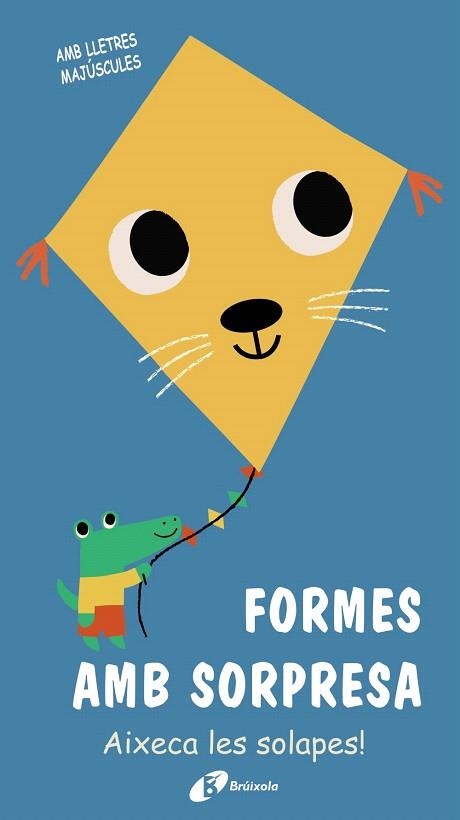 FORMES AMB SORPRESA | 9788499063690 | AA.DD. | Llibreria Drac - Llibreria d'Olot | Comprar llibres en català i castellà online