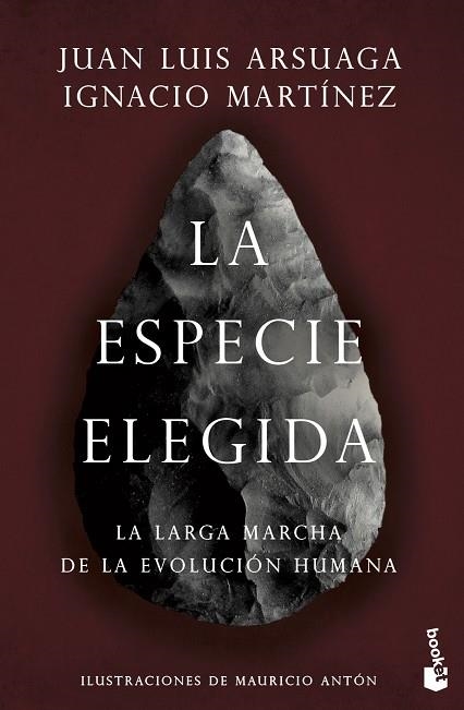 ESPECIE ELEGIDA, LA | 9788423358229 | ARSUAGA, JUAN LUIS; MARTÍNEZ, IGNACIO | Llibreria Drac - Llibreria d'Olot | Comprar llibres en català i castellà online