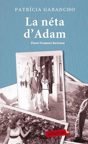 NETA D'ADAM, LA | 9788499307282 | GABANCHO, PATRICIA | Llibreria Drac - Llibreria d'Olot | Comprar llibres en català i castellà online