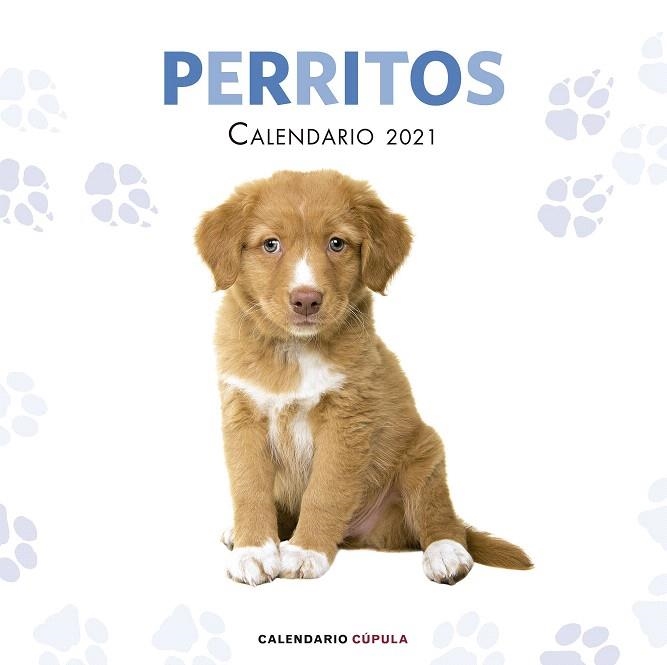 CALENDARIO PERRITOS 2021 | 9788448027766 | AA.DD. | Llibreria Drac - Llibreria d'Olot | Comprar llibres en català i castellà online