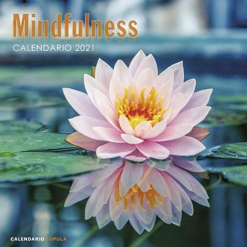 CALENDARIO MINDFULNESS 2021 | 9788448027735 | AA.DD. | Llibreria Drac - Llibreria d'Olot | Comprar llibres en català i castellà online