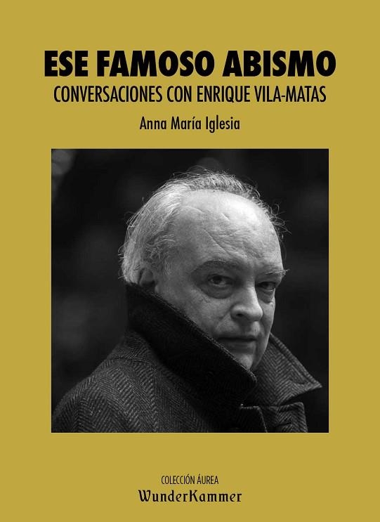 ESE FAMOSO ABISMO | 9788412166033 | IGLESIA PAGNOTTA, ANNA MARÍA | Llibreria Drac - Llibreria d'Olot | Comprar llibres en català i castellà online