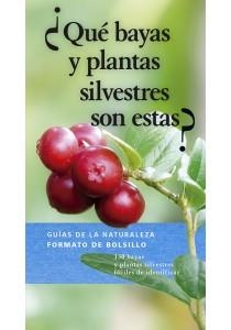 QUÉ BAYAS Y PLANTAS SILVESTRES SON ESTAS? | 9788428217309 | DREYER, EVA MARIA | Llibreria Drac - Llibreria d'Olot | Comprar llibres en català i castellà online