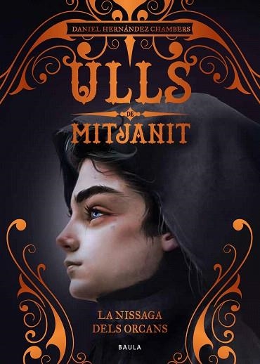 NISSAGA DELS ORCANS, LA (ULLS DE MITJANIT 3) | 9788447942466 | HERNÁNDEZ, DANIEL | Llibreria Drac - Llibreria d'Olot | Comprar llibres en català i castellà online