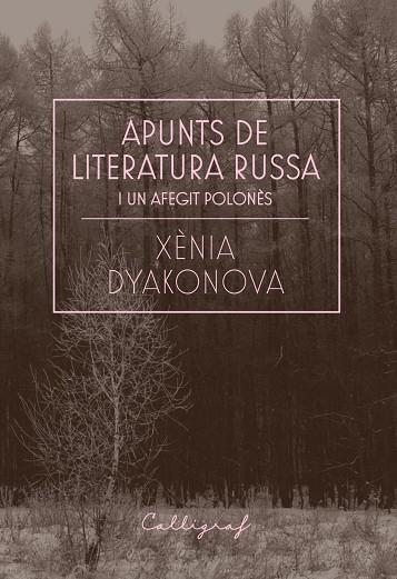 APUNTS DE LITERATURA RUSSA I UN AFEGIT POLONÈS | 9788412212358 | DYAKONOVA, XÈNIA | Llibreria Drac - Llibreria d'Olot | Comprar llibres en català i castellà online