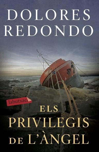 PRIVILEGIS DE L'ÀNGEL, ELS | 9788417423971 | REDONDO, DOLORES | Llibreria Drac - Llibreria d'Olot | Comprar llibres en català i castellà online