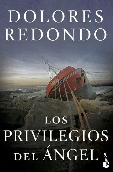 PRIVILEGIOS DEL ÁNGEL, LOS | 9788423358687 | REDONDO, DOLORES | Llibreria Drac - Llibreria d'Olot | Comprar llibres en català i castellà online