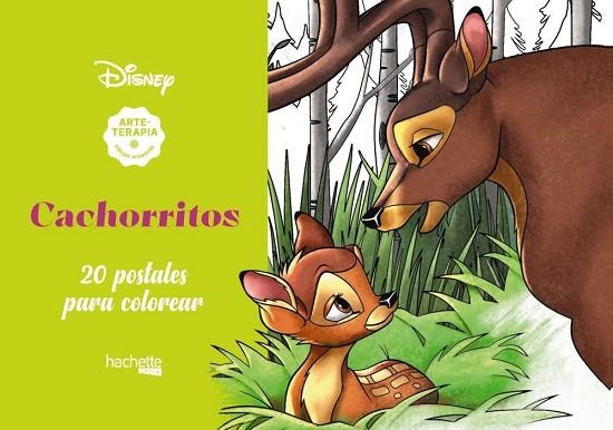 ARTETERAPIA. CACHORRITOS DISNEY | 9788417586560 | AA.DD | Llibreria Drac - Llibreria d'Olot | Comprar llibres en català i castellà online