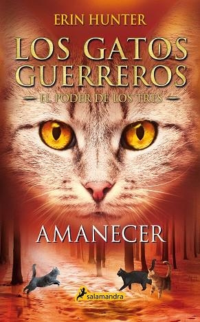 AMANECER (LOS GATOS GUERREROS | EL PODER DE LOS TRES 6) | 9788418174056 | HUNTER, ERIN | Llibreria Drac - Llibreria d'Olot | Comprar llibres en català i castellà online