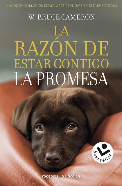 RAZÓN DE ESTAR CONTIGO, LA. LA PROMESA | 9788417821432 | CAMERON, BRUCE W. | Llibreria Drac - Llibreria d'Olot | Comprar llibres en català i castellà online