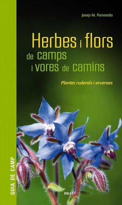 HERBES I FLORS DE CAMPS I VORES DE CAMINS | 9788418096082 | PANAREDA, JOSEP M | Llibreria Drac - Llibreria d'Olot | Comprar llibres en català i castellà online