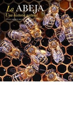 ABEJA, LA. UNA HISTORIA NATURAL | 9788417452575 | WILSON-RICH, NOAH | Llibreria Drac - Llibreria d'Olot | Comprar llibres en català i castellà online