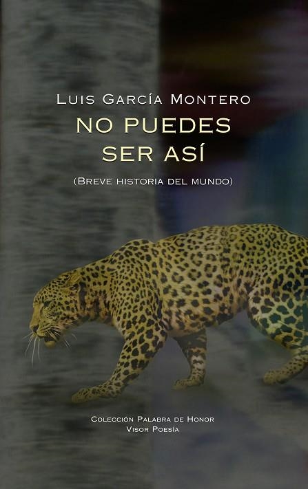 NO PUEDES SER ASÍ | 9788498956368 | GARCÍA MONTERO, LUIS | Llibreria Drac - Librería de Olot | Comprar libros en catalán y castellano online