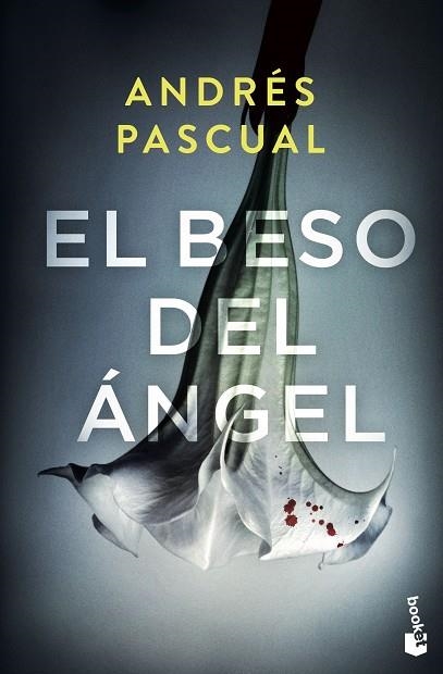 BESO DEL ÁNGEL, EL | 9788467062755 | PASCUAL, ANDRÉS | Llibreria Drac - Llibreria d'Olot | Comprar llibres en català i castellà online