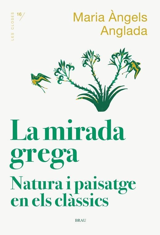  MIRADA GREGA, LA  | 9788418096167 | ANGLADA I D'ABADAL, MARIA ÀNGELS | Llibreria Drac - Llibreria d'Olot | Comprar llibres en català i castellà online