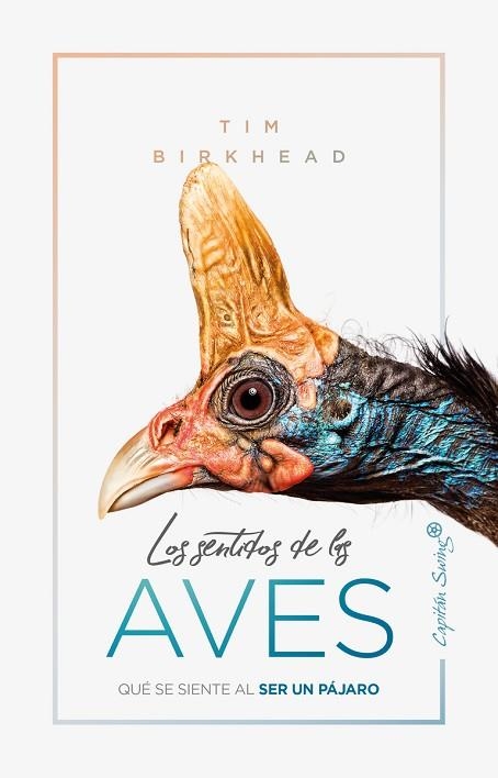 SENTIDOS DE LAS AVES, LOS | 9788412064506 | BIRKHEAD, TIM | Llibreria Drac - Llibreria d'Olot | Comprar llibres en català i castellà online