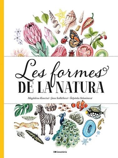 FORMES DE LA NATURA, LES | 9788413560434 | SEDLACKOVA, JANA; SEKANINOVA, STEPANKA | Llibreria Drac - Llibreria d'Olot | Comprar llibres en català i castellà online