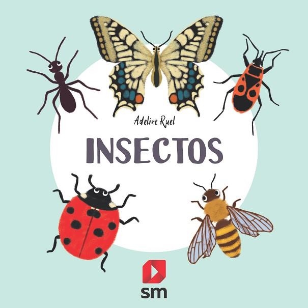 INSECTOS | 9788413188591 | RUEL, ADELINE | Llibreria Drac - Llibreria d'Olot | Comprar llibres en català i castellà online