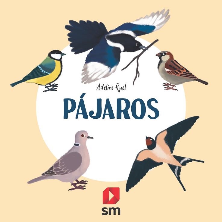 PÁJAROS | 9788413188607 | RUEL, ADELINE | Llibreria Drac - Llibreria d'Olot | Comprar llibres en català i castellà online