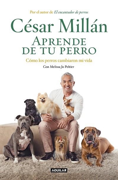 APRENDE DE TU PERRO | 9788403518445 | MILLÁN, CÉSAR | Llibreria Drac - Llibreria d'Olot | Comprar llibres en català i castellà online