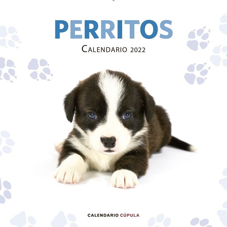 CALENDARIO PERRITOS 2022 | 9788448028701 | AA.DD. | Llibreria Drac - Llibreria d'Olot | Comprar llibres en català i castellà online