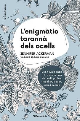 ENIGMÀTIC TARANNÀ DELS OCELLS | 9788413560472 | ACKERMAN, JENNIFER | Llibreria Drac - Librería de Olot | Comprar libros en catalán y castellano online