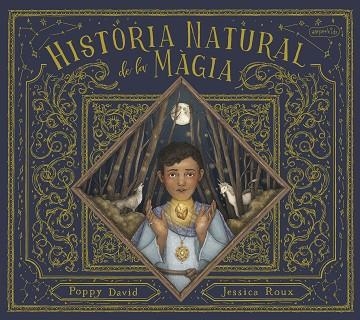 HISTÒRIA NATURAL DE LA MÀGIA | 9788418279874 | DAVID, POPPY | Llibreria Drac - Llibreria d'Olot | Comprar llibres en català i castellà online