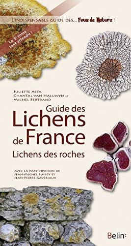 LICHENS DES ROCHES | 9782701193557 | ASTA, JULIETTE  | Llibreria Drac - Llibreria d'Olot | Comprar llibres en català i castellà online